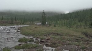 ПОЛЯРНЫЙ УРАЛ, СПИННИНГ ПРОТИВ НАХЛЫСТА