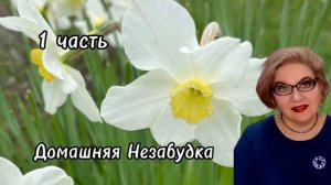 1 часть. Во всём виноват с@пля💯❗️Это факт☝️❗️
