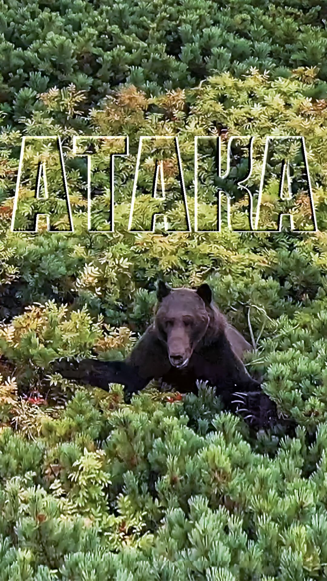 АТАКА