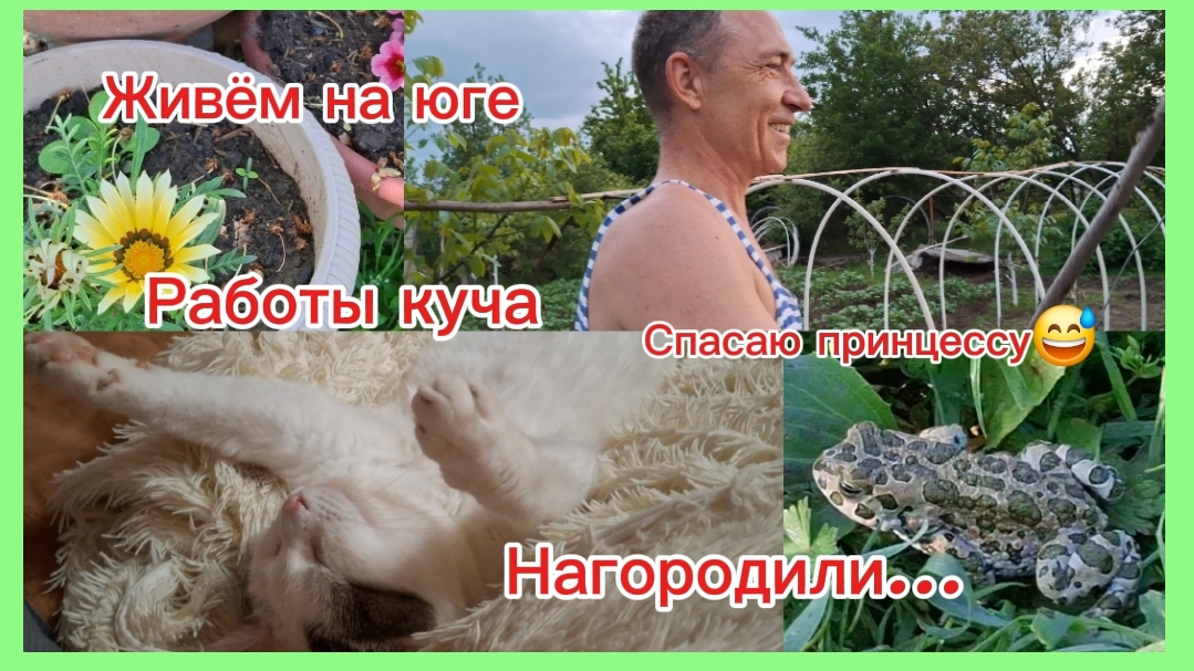 15-05-2026 /Краснодарский край//Работаем на участке/Новая мебель своими/Городим в огороде 😅//