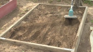 « Во саду ли, в огороде» ( Выпуск от 15.05.2026)