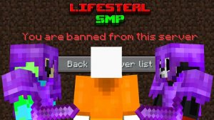 Почему Меня Забанили На LIFESTEAL SMP