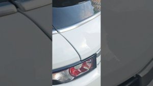50895.mp4