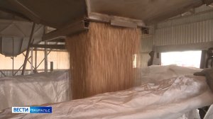 1600 тонн курганского гороха отправят в Китай железнодорожным транспортом