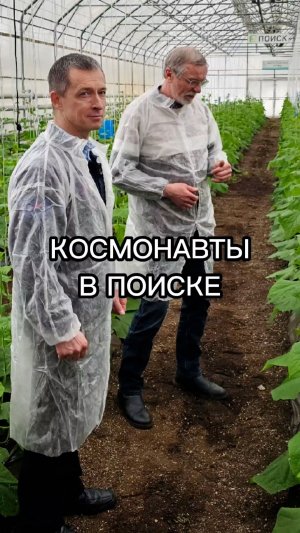 Космонавты в Поиске!