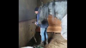 Кстати, у меня тоже есть такой напарник
