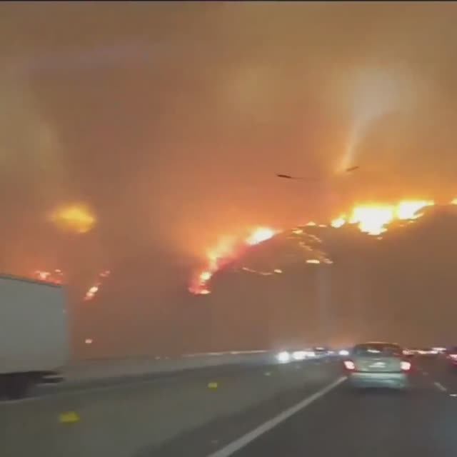 Лесные пожары в Чили