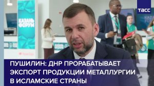 Пушилин: ДНР прорабатывает экспорт продукции металлургии в исламские страны