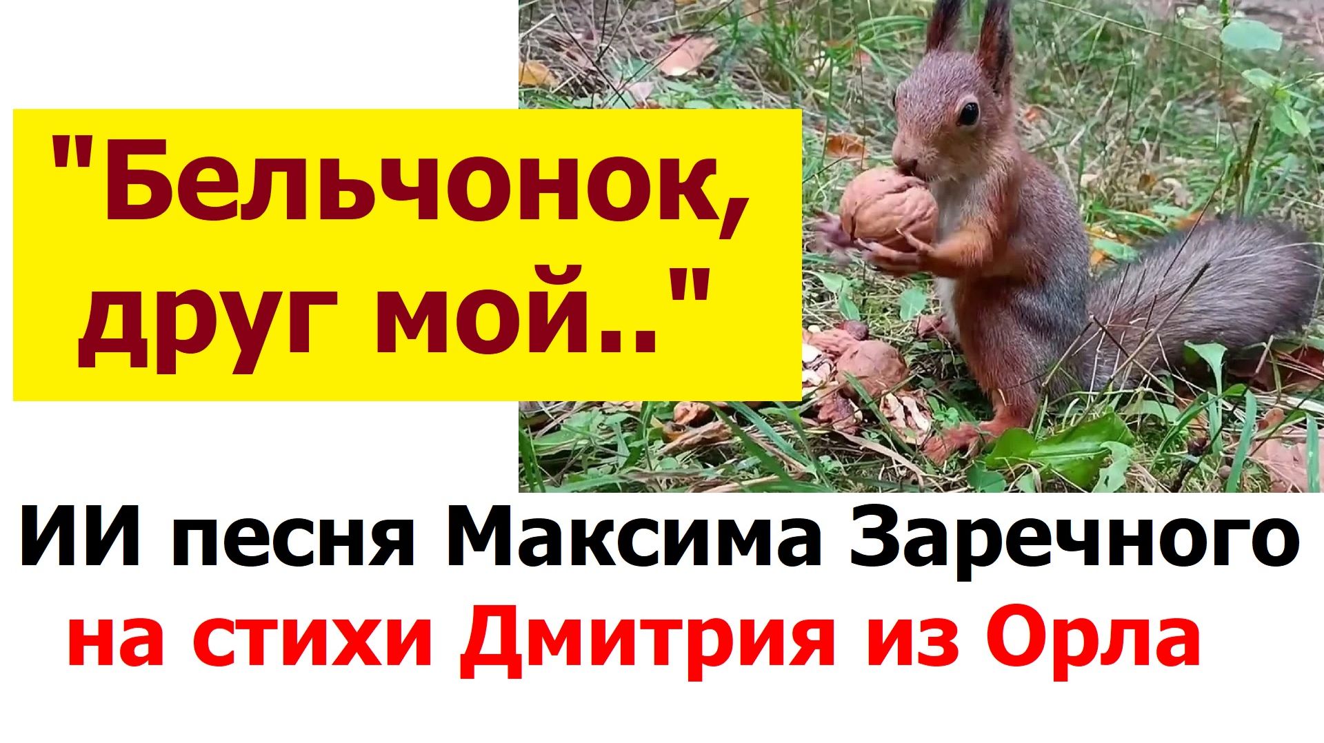 20260515 ИИ песня Бельчонок друг мой ты пришёл поесть орешков Максима Заречного стих Дмитрия из Орла