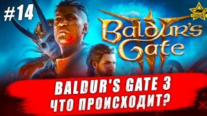 Baldur's Gate 3 #14. Что происходит? - Стрим на заказ
