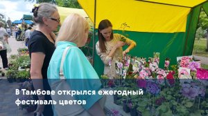 В Тамбове открылся ежегодный фестиваль цветов