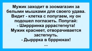 Мужик заходит в зоомагазин... Подборка Пикантных, Остреньких, Жизненных Анекдотов! Юмор Смех Позитив
