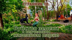 Буйство зелени в керченском казенном парке.