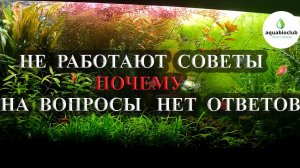 Почему не работают советы, а вопросы не имеют ответа в аквариумистике.
