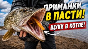 ЗУБАСТЫЕ ГЛОТАЮТ ПРИМАНКИ. РЫБАЛКА НА КОТЛОВАНЕ.