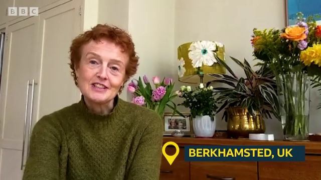 SpeakOut A2+ U2 BBC Vlogs what's your favourite animal? смотреть онлайн