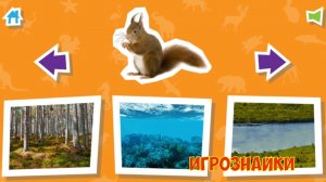 Где живут животные. Игра для детей.