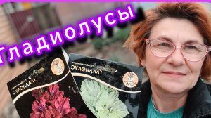 Гладиолус, посадка 🌺😍