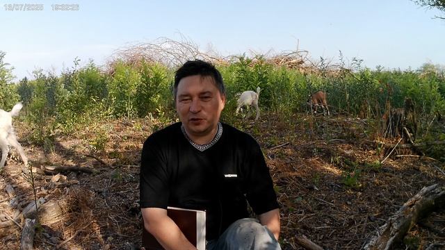 Корнилий