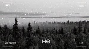 Красотка ПРИШЛА к нему в избу и ОСТАЛАСЬ навсегда... СЕКРЕТ РАСКРЫТ!