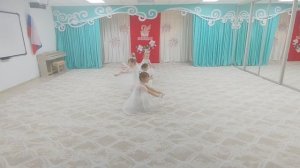 Птицы белые