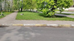 Почему мы такие бескультурные всё нам не так