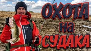 Охота на судака. В поисках клыкастого! Стример «Обской Хищник» опять всех обловил!