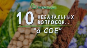 10 небанальных вопросов о сое