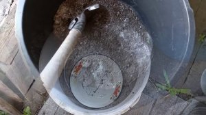 Посадили немного картофеля.