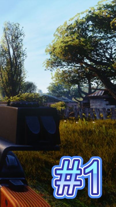 S.T.A.L.K.E.R.-NLC Improved➤Квесты➤Артефакт Сидоровича, Документы Волка