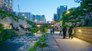 Beautiful Sunset in Seoul： Walking Cheonggyecheon Stream & Lantern Festival Preview