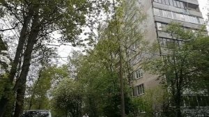 Майские птички поют для вас🌹