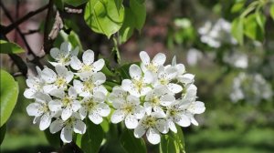 Время собирать камни (авторская песня)