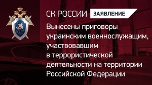 Вынесены приговоры  украинским военнослужащим, участвовавшим в террористической деятельности в РФ