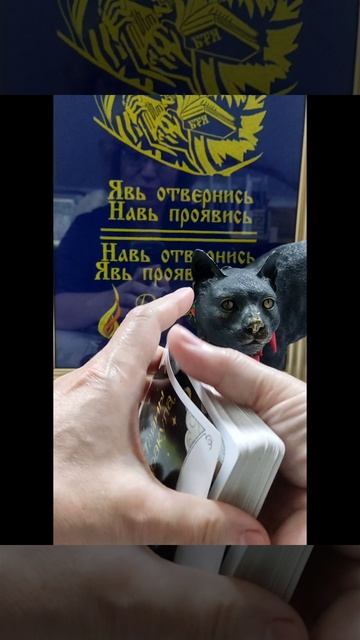 Совет дня🐸 15 мая🙋#новинка#семья#работа#дом#
