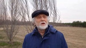 Энергетический вампиризм.