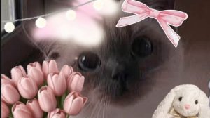 ........💗.....,,.....