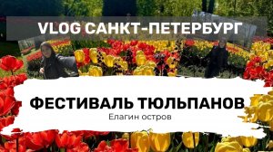 Фестиваль тюльпанов в ЦПКиО 2026г.