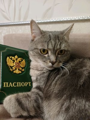 эфир