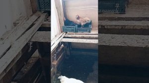 15-05-2026 управляюсь на хозяйстве