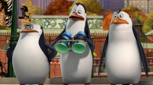 ПИНГВИНЫ 🐧 МАДАГАСКАРА