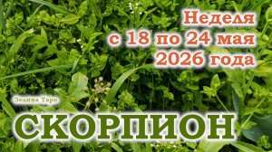 СКОРПИОН | ТАРО прогноз на неделю с 18 по 24 мая 2026 года