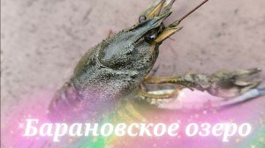 Барановское озеро. Где отдохнуть в Сочи Дагомысе.