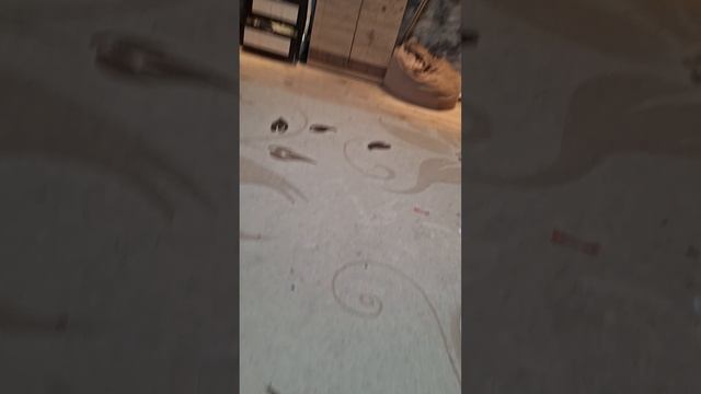 пришол сошколы