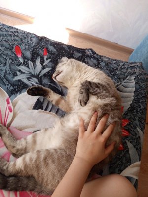 разговариваем,обсуждаем,играем