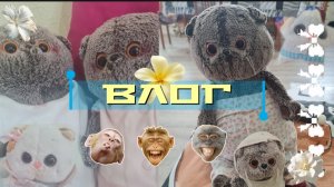 Огромный влог с Басиком!!Видео с котом Басиком