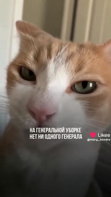 ну го в закрепик