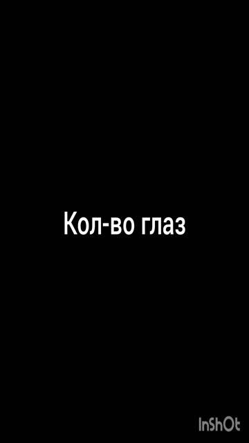 компот vs рагата