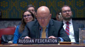 Выступление В.А.Небензи в СБ ООН по Сирии