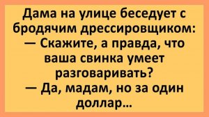Скажите, а правда, что ваша свинка разговаривает?... | Анекдоты смешные | Юмор
